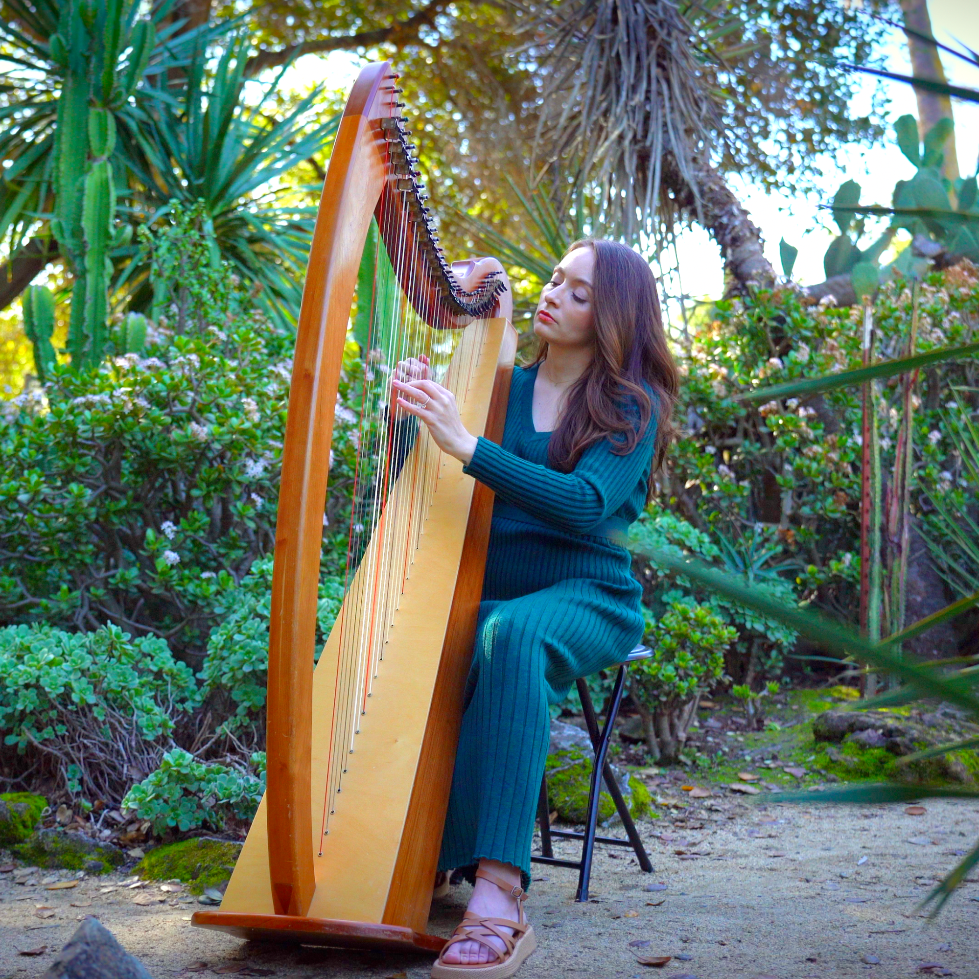Music in the Garden