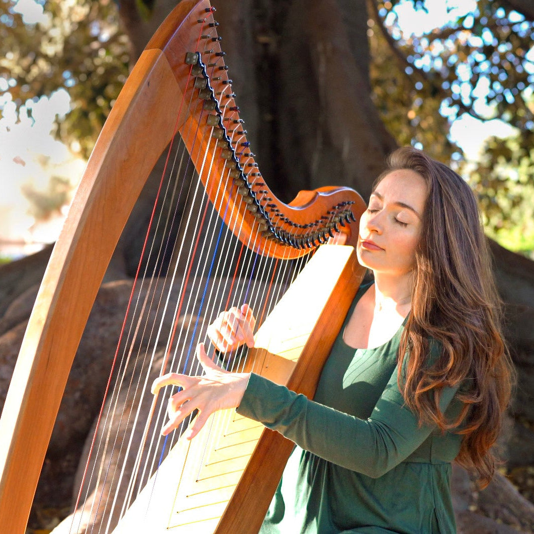 Harp in the Banyan Tree – Sarah Bhalla