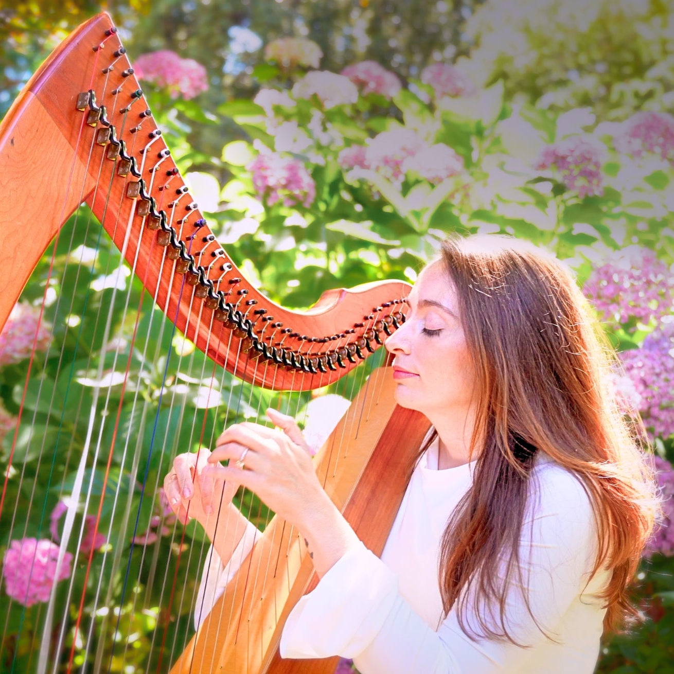 Sunlit Melodies