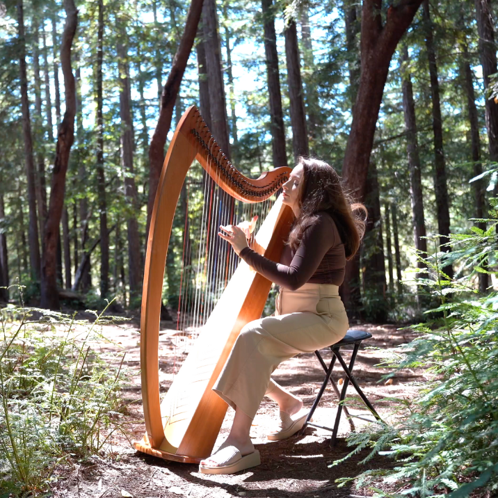 Relaxing Harp